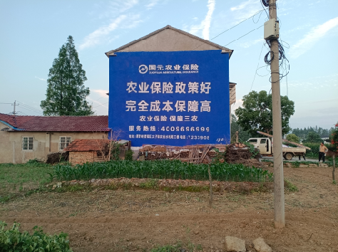 江永墙体广告的优劣势你知道吗？